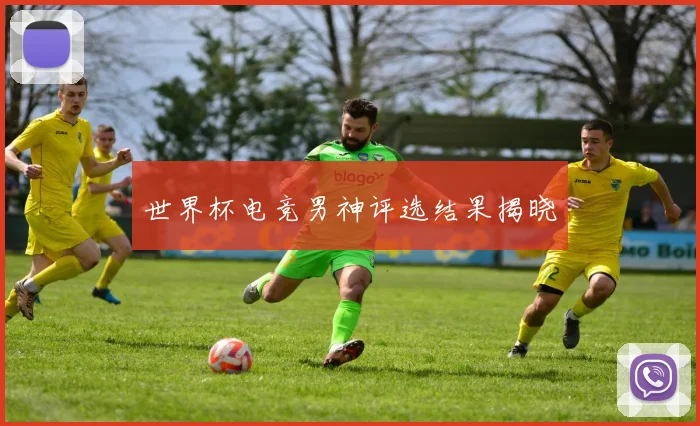 世界杯电竞男神评选结果揭晓