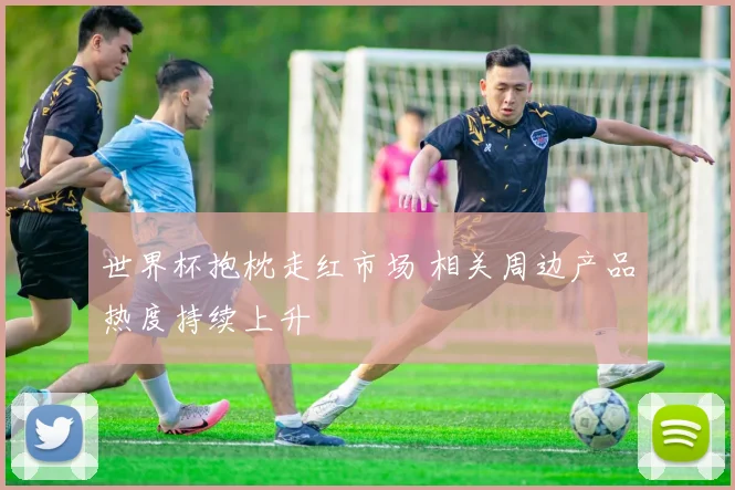 世界杯抱枕走红市场 相关周边产品热度持续上升